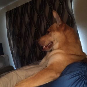 Meet your Posher, Reginald